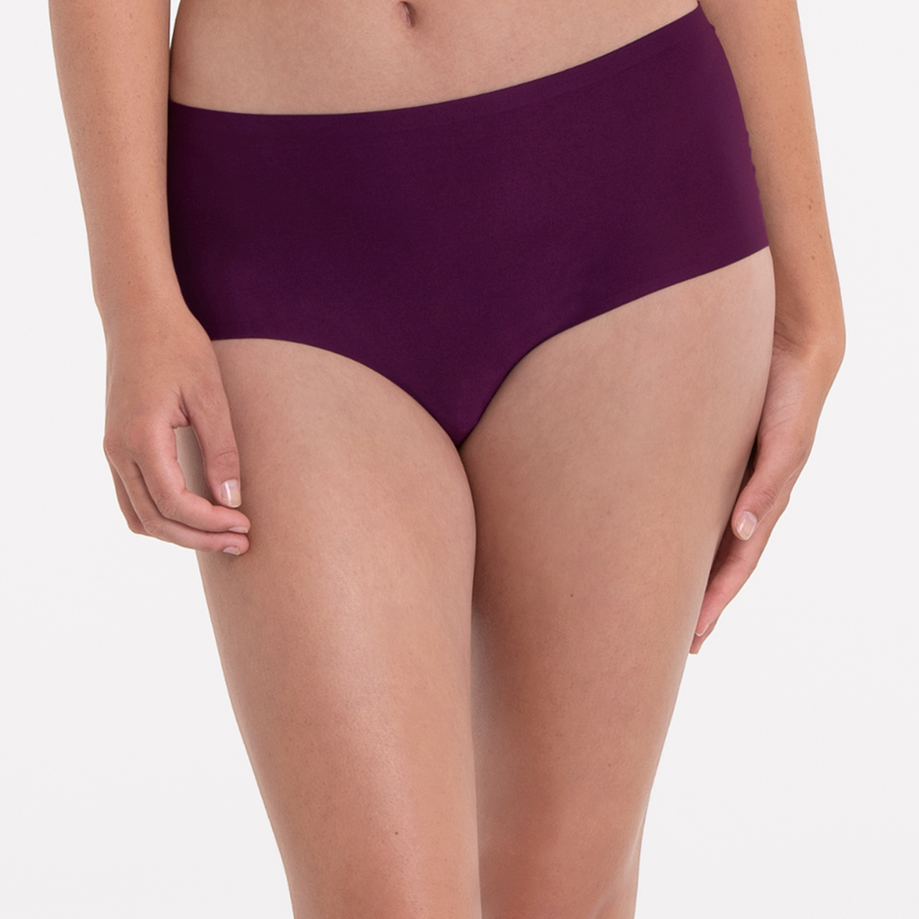 Essentials High Waist Panty (Anita)