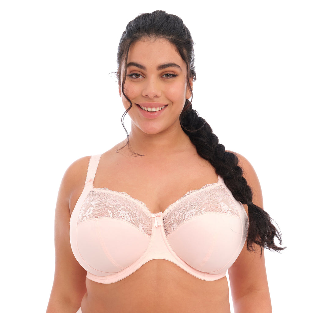 Morgan: Bra Box Options